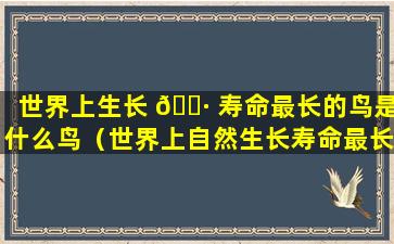 世界上生长 🌷 寿命最长的鸟是什么鸟（世界上自然生长寿命最长的鸟是什么鸟）